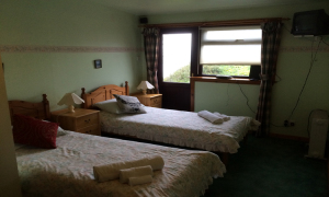 Twin room with room in shower and WC in a private lobby.