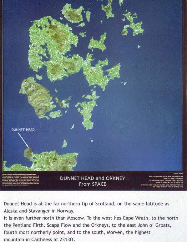 poster.jpg (342050 bytes)