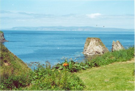 clett.jpg (87186 bytes)