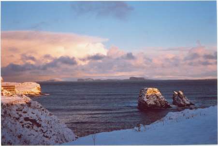 cletts.jpg (13720 bytes)