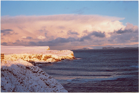 hoy.gif (105155 bytes)