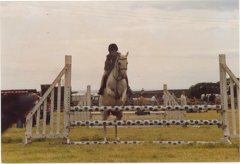 mouse.gif (297582 bytes)