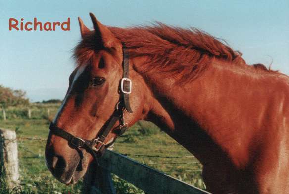 richard.jpg (24974 bytes)