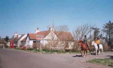 riding.jpg (465636 bytes)