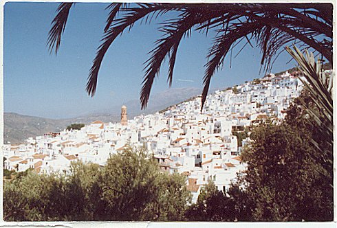 competa.jpg (62919 bytes)